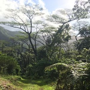 Meet your Posher, Kathlyn